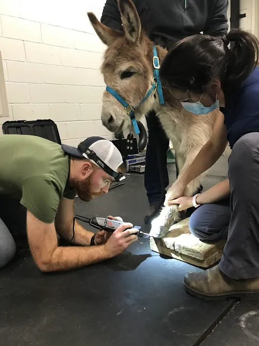 Pilchuck Veterinary Hospital - Equine 9