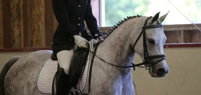 Pilchuck Veterinary Hospital - Equine 4