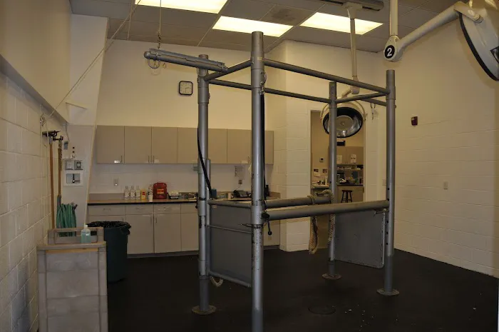 Pilchuck Veterinary Hospital - Equine 10