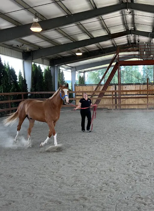 Pilchuck Veterinary Hospital - Equine 2