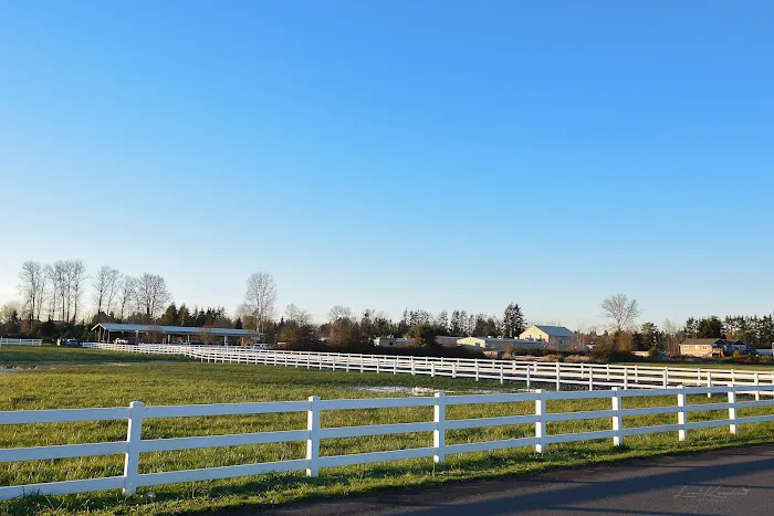 Pilchuck Veterinary Hospital - Equine 1
