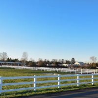 Pilchuck Veterinary Hospital - Equine ico