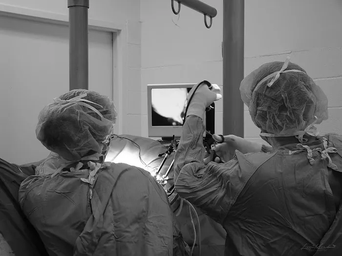 Pilchuck Veterinary Hospital - Equine 3