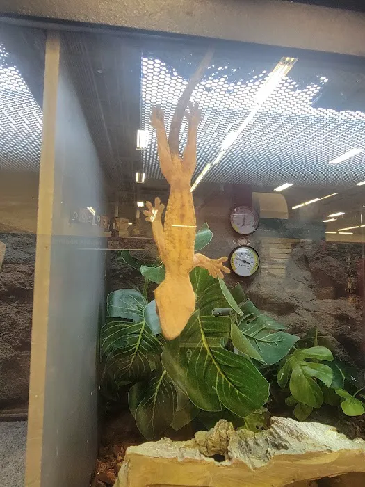Petco 5