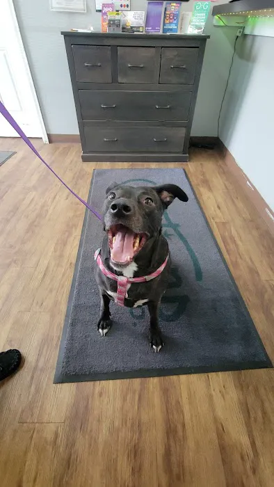 Petco 7