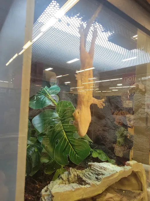 Petco 4