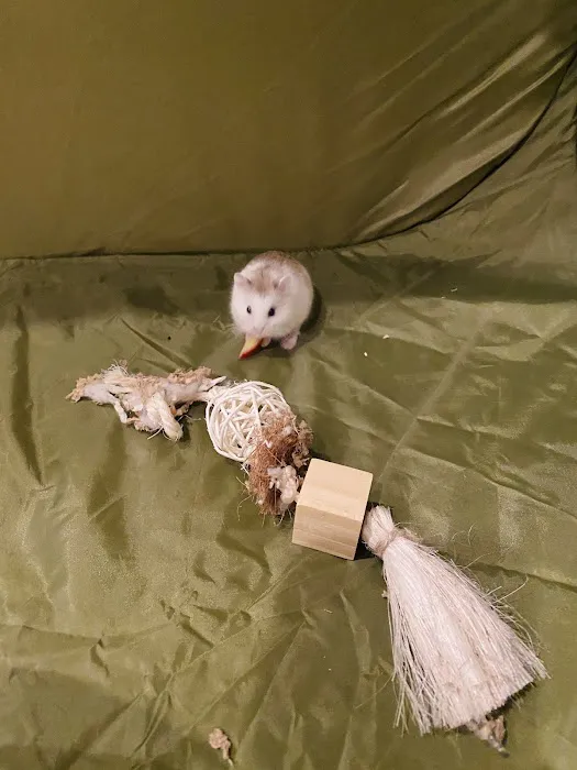 Petco 6