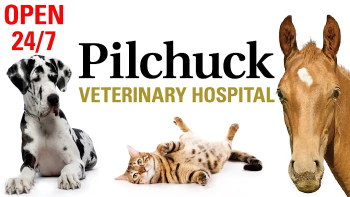 Pilchuck Veterinary Hospital - Small Animal 4