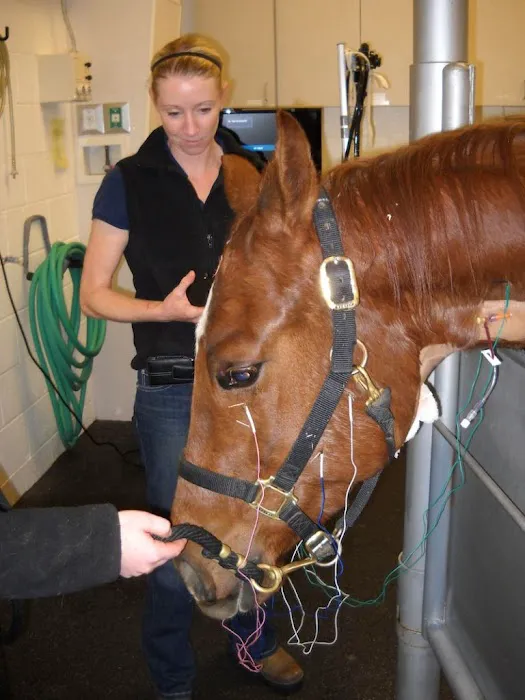 Pilchuck Veterinary Hospital - Small Animal 10