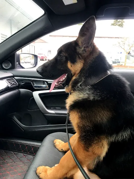 Pilchuck Vet Urgent Care Center 3