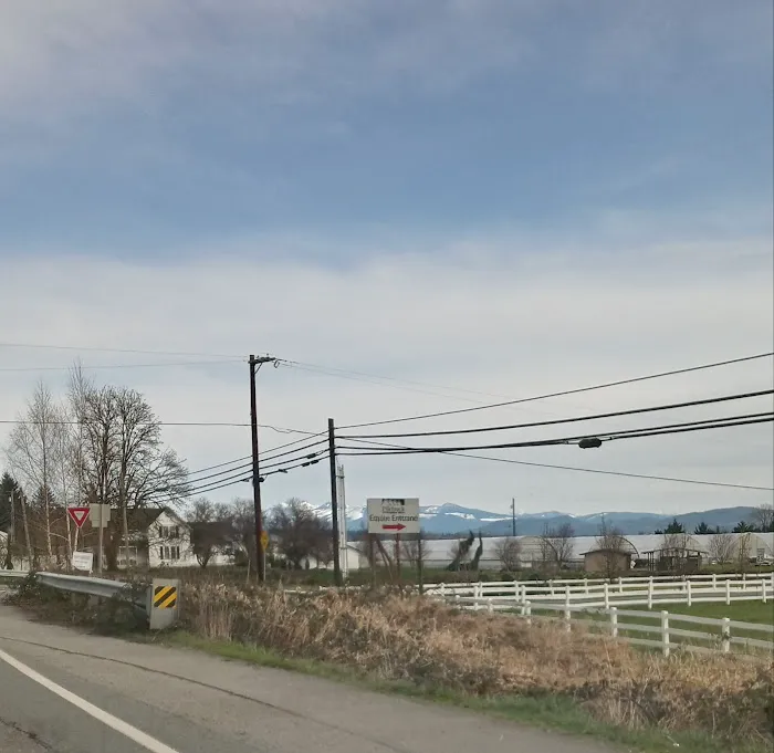 Pilchuck Vet Urgent Care Center 4