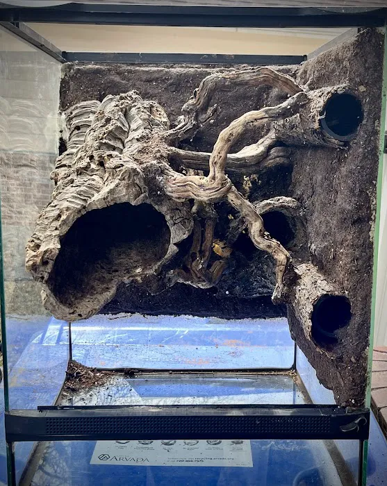 Terrarium Station 12