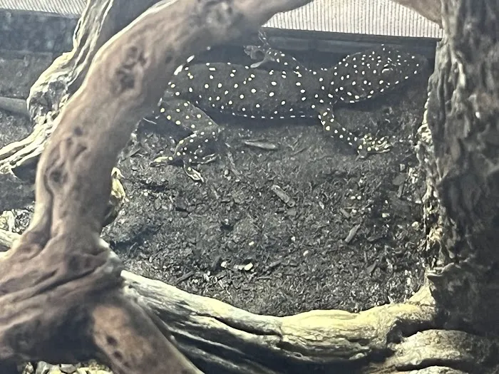 Terrarium Station 12