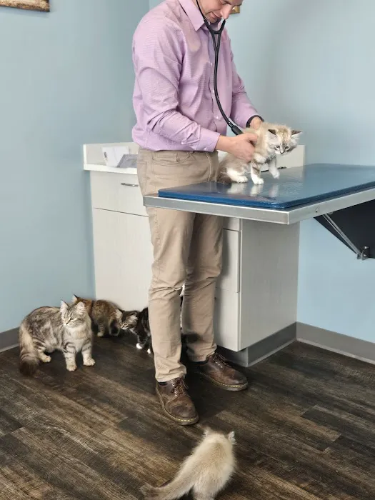Klahaya Animal Hospital 1