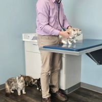 Klahaya Animal Hospital ico