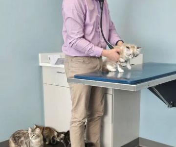 Klahaya Animal Hospital