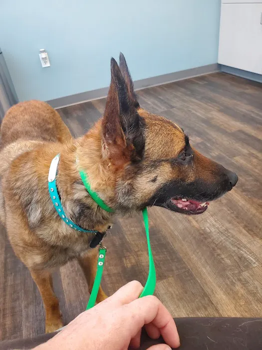 Klahaya Animal Hospital 2