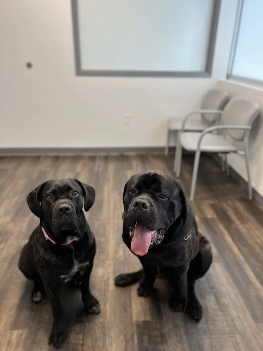 Klahaya Animal Hospital 4