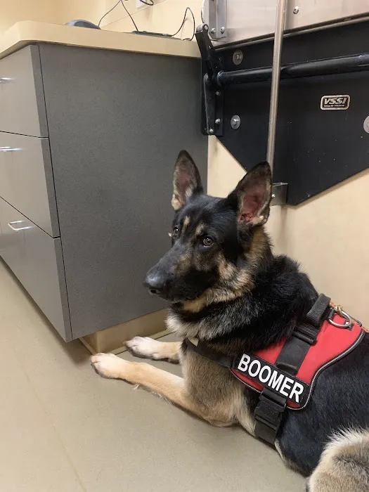 Snohomish Station Animal Hospital 8