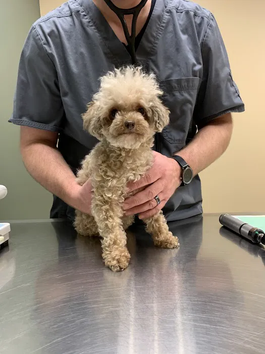 Evergreen Holistic Veterinary Care 3