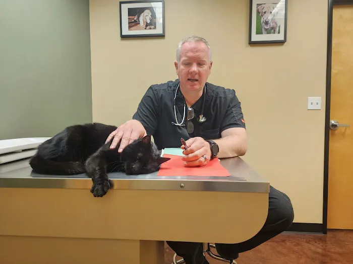 Evergreen Holistic Veterinary Care 6