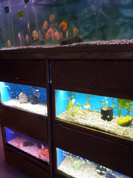 About Fish Inc 12