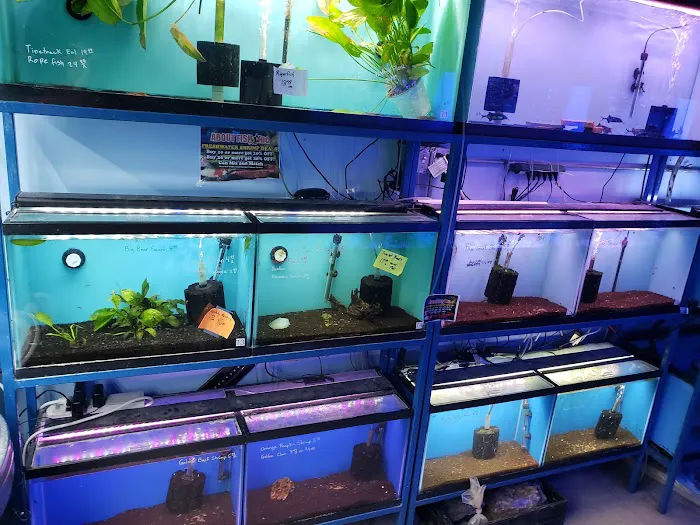 About Fish Inc 12