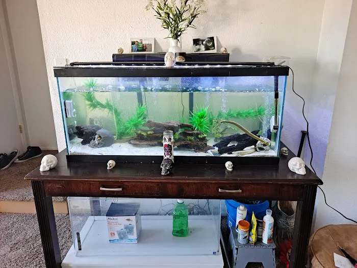About Fish Inc 12