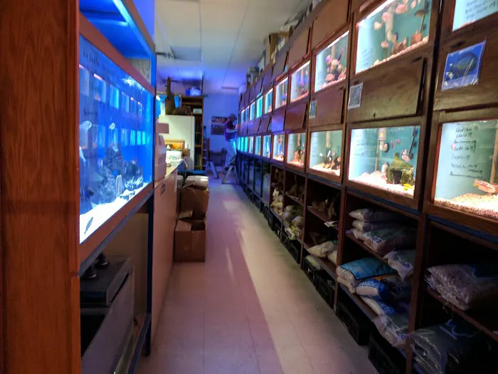 About Fish Inc 12