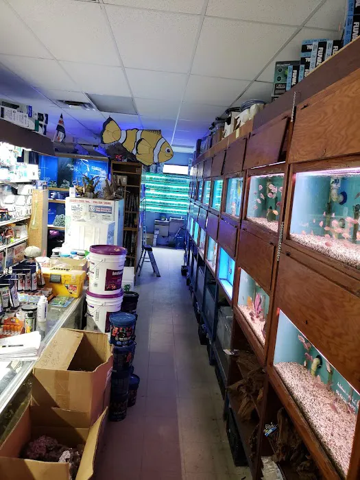 About Fish Inc 12