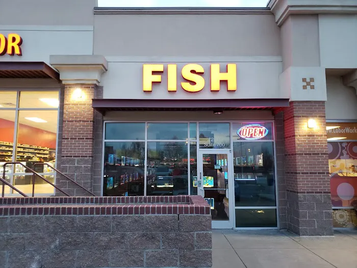 About Fish Inc 12