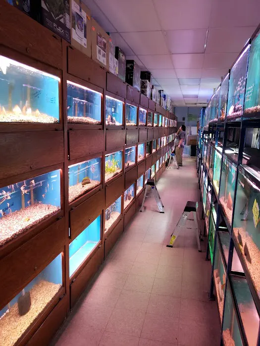 About Fish Inc 12