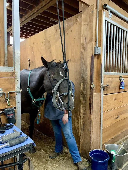 Evergreen Equine Veterinary Practice 2
