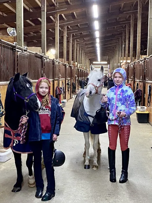 Evergreen Equine Veterinary Practice 3