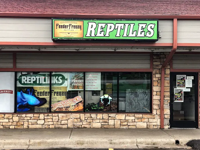 Feeder Frenzy Reptiles 12
