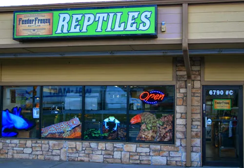 Feeder Frenzy Reptiles 12