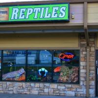 Feeder Frenzy Reptiles ico