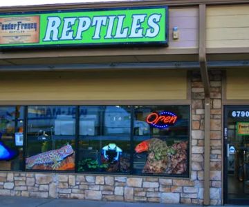Feeder Frenzy Reptiles