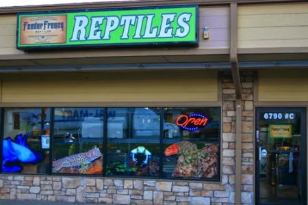 Feeder Frenzy Reptiles