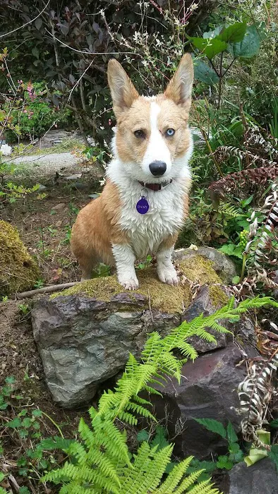 Cascade Animal Clinic 1