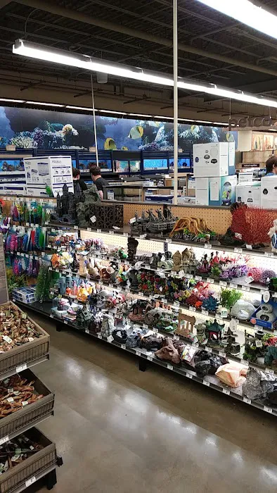 Petco 12