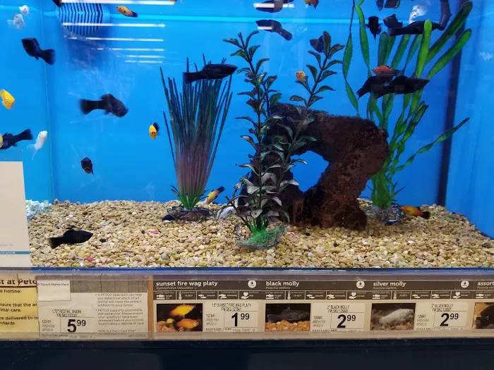 Petco 12