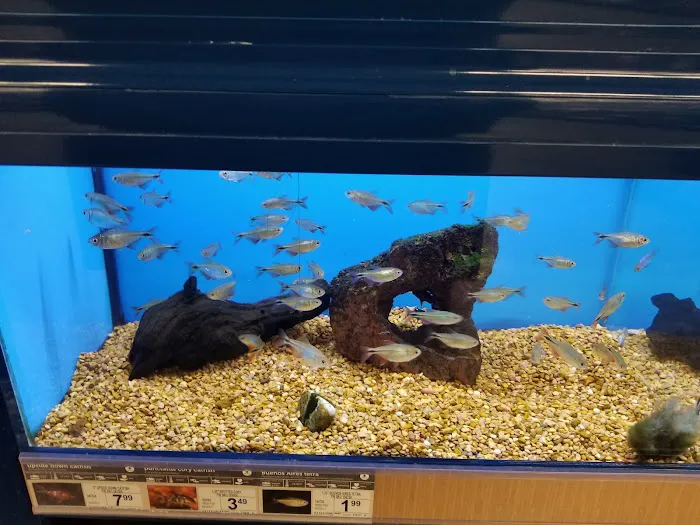 Petco 12