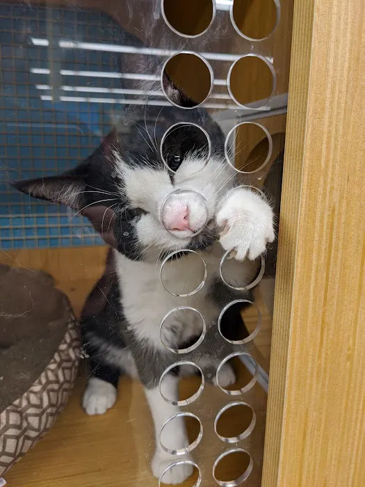 Petco 12