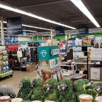 Petco ico