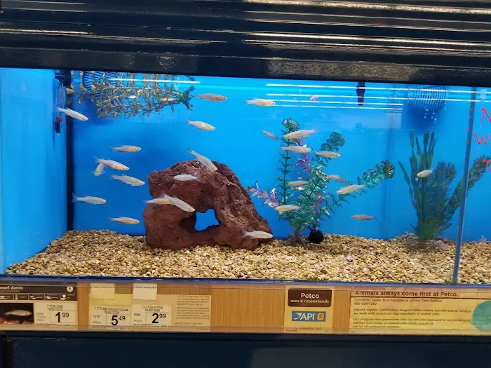 Petco 12