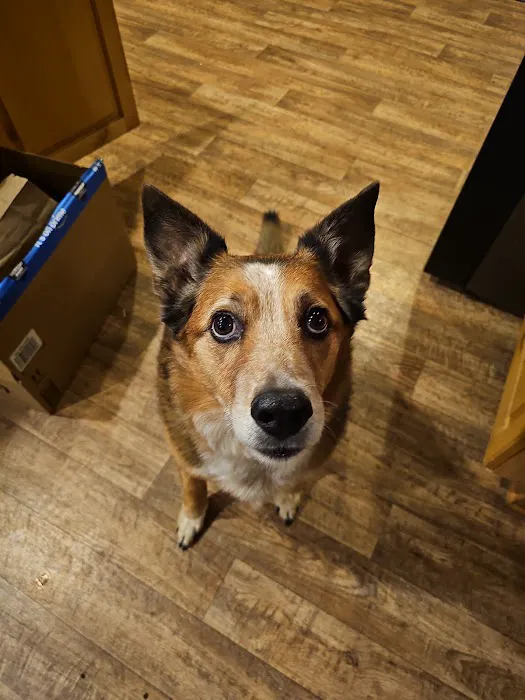 Chuck & Don's Pet Food & Supplies 12