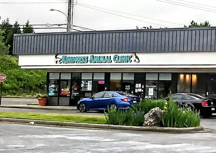 Kindness Animal Clinic 2