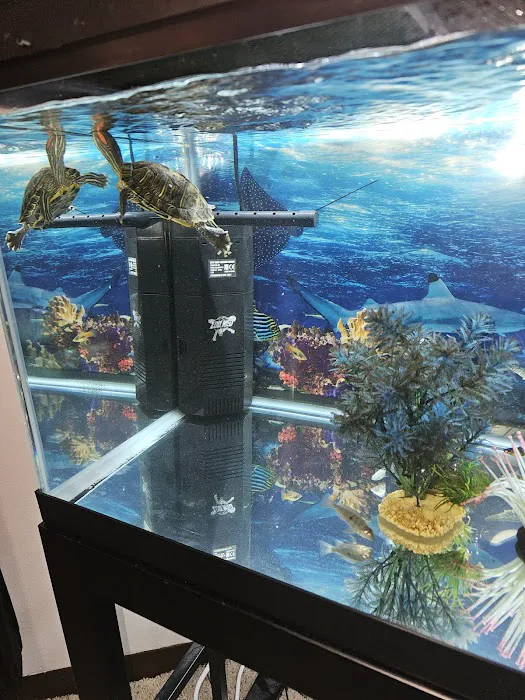 Petco 12