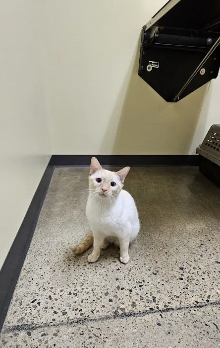 Petco 12